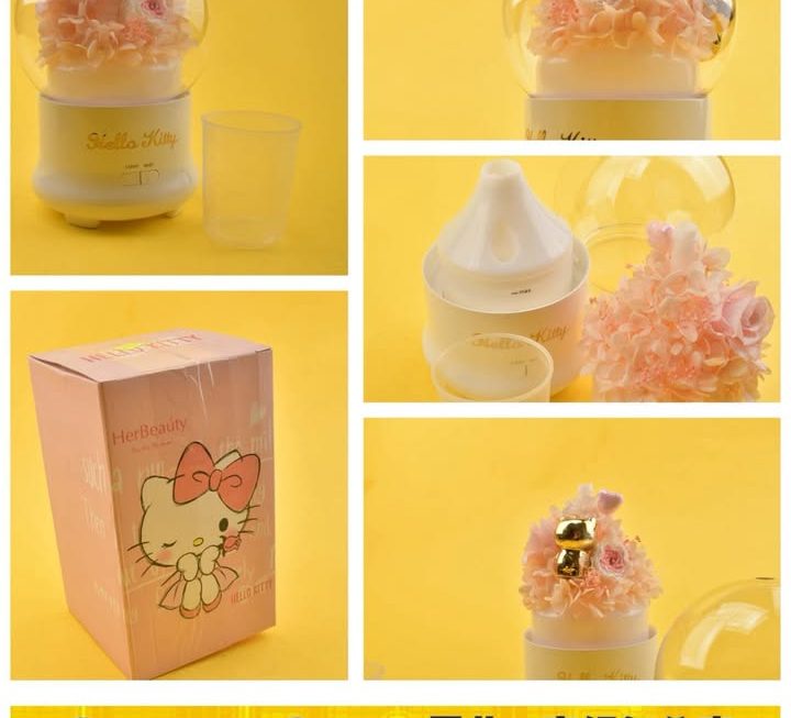 Hello Kitty 水晶球造型放濕器~$19