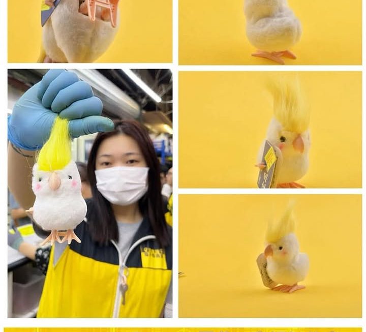 收銀妹妹最愛
