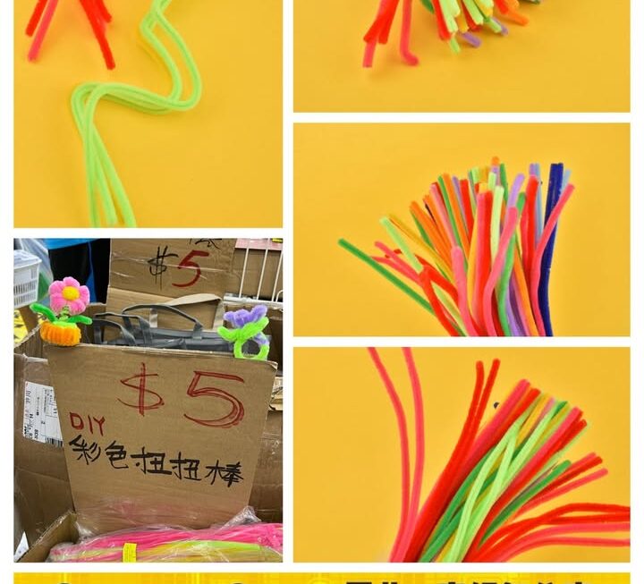 DIY彩色扭扭棒套裝~$5