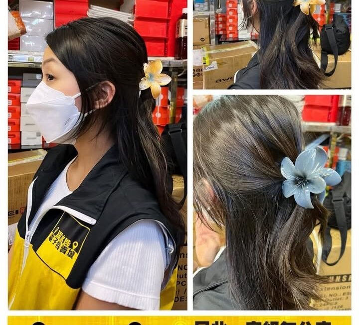 雞蛋花造型髮夾~$9/個