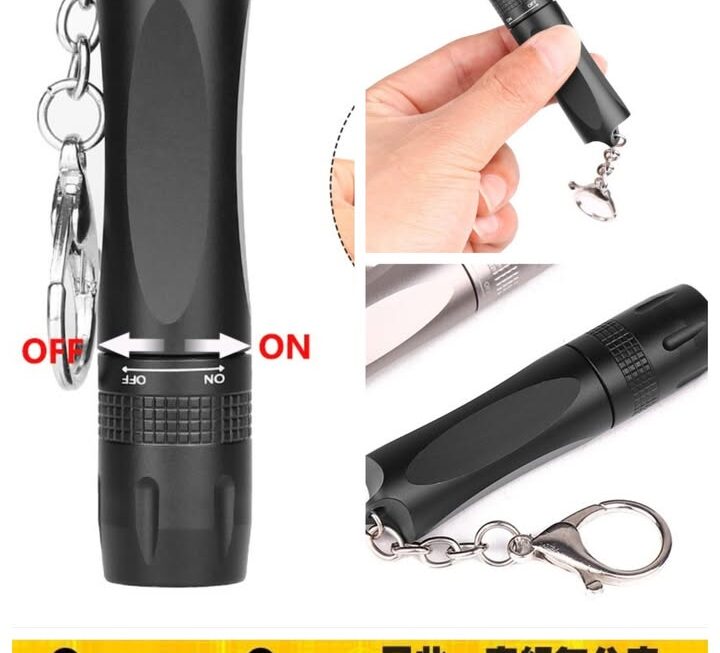 匙扣式手電筒~$20