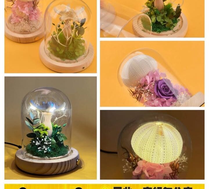靚靚植物造型玻璃小夜燈~$19 減價喇