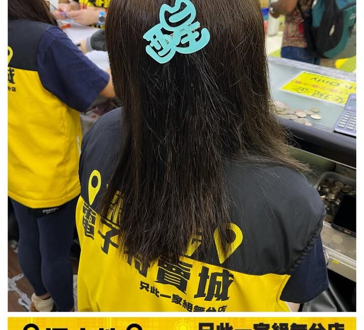 醒目女髮夾 ~$3