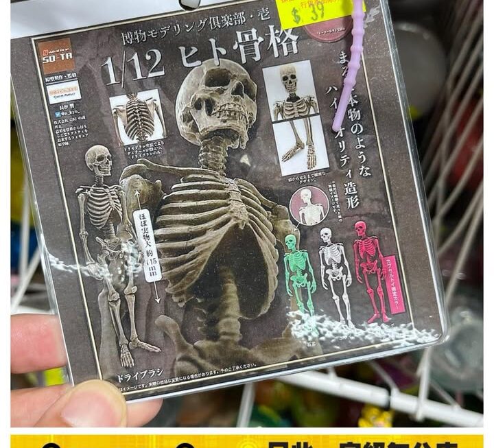 1:12 骷髏骨扭蛋💀~$39/款