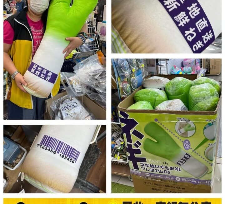 日系大蔥攬枕~$95