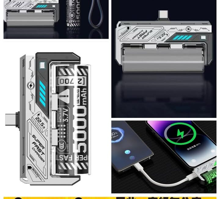 電池流動充電器~$60