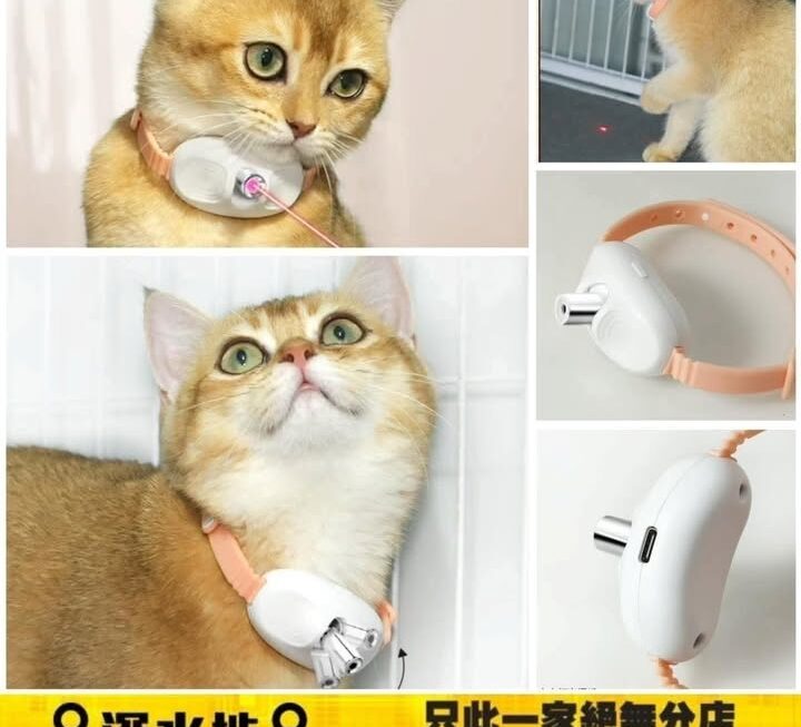 智能激光逗貓頸圈~$9