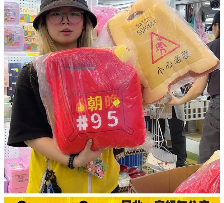 多款攪笑造型抱枕~$35/個