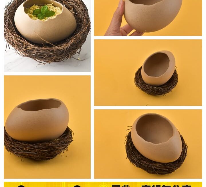 鳥蛋雀巢陶瓷碗 ~$25