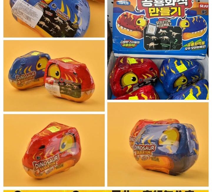 恐龍化石組裝玩具~$29