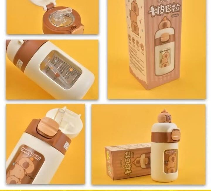 水豚造型玻璃水壺 ~$9